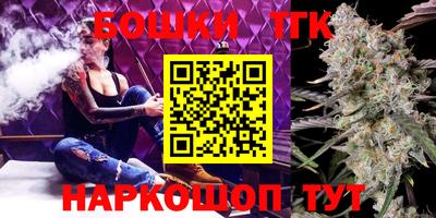 индика Тулун