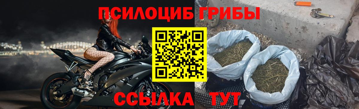 Псилоцибиновые грибы Magic Shrooms  Вход с VPN  Псилоцибиновые грибы MAGIC MUSHROOMS  Кулебаки 